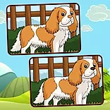 Dogs Spot The Differences